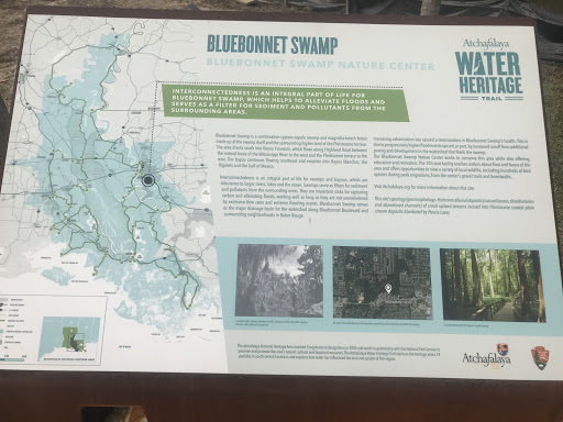 Bluebonnet Swamp - Bluebonnet Swamp Nature Center