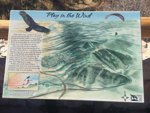 Play in the Wind