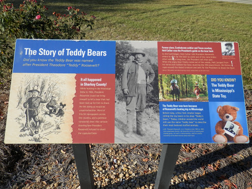 The Story of Teddy Bears