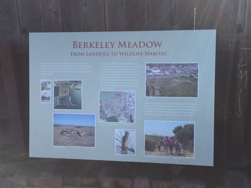 From Landfill to Wildlife Habitat