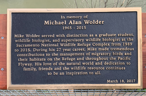 Michael Alan Wolder