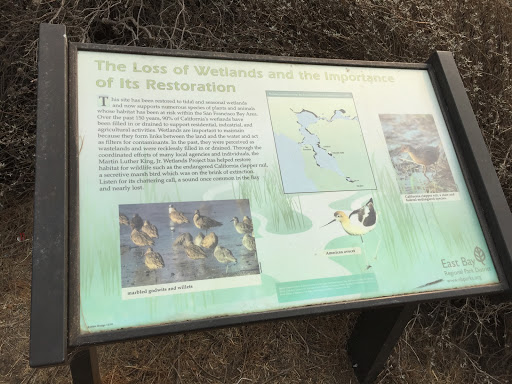 The Loss of Wetlands
