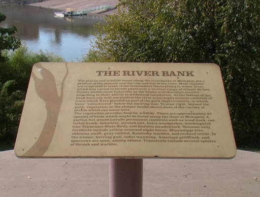 Mississippi River Bank at Memphis