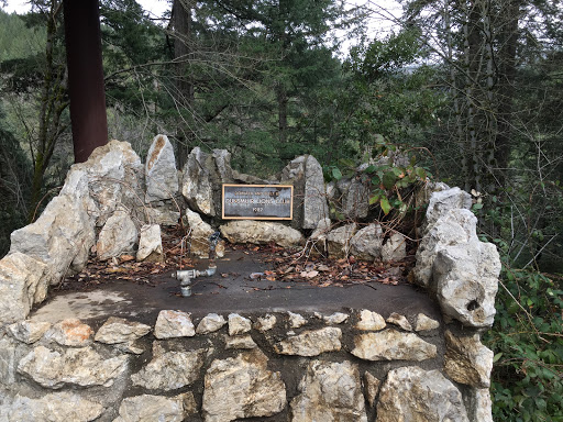 Dunsmuir Lions Club