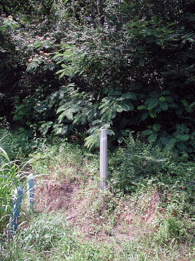 Historic Red Clay