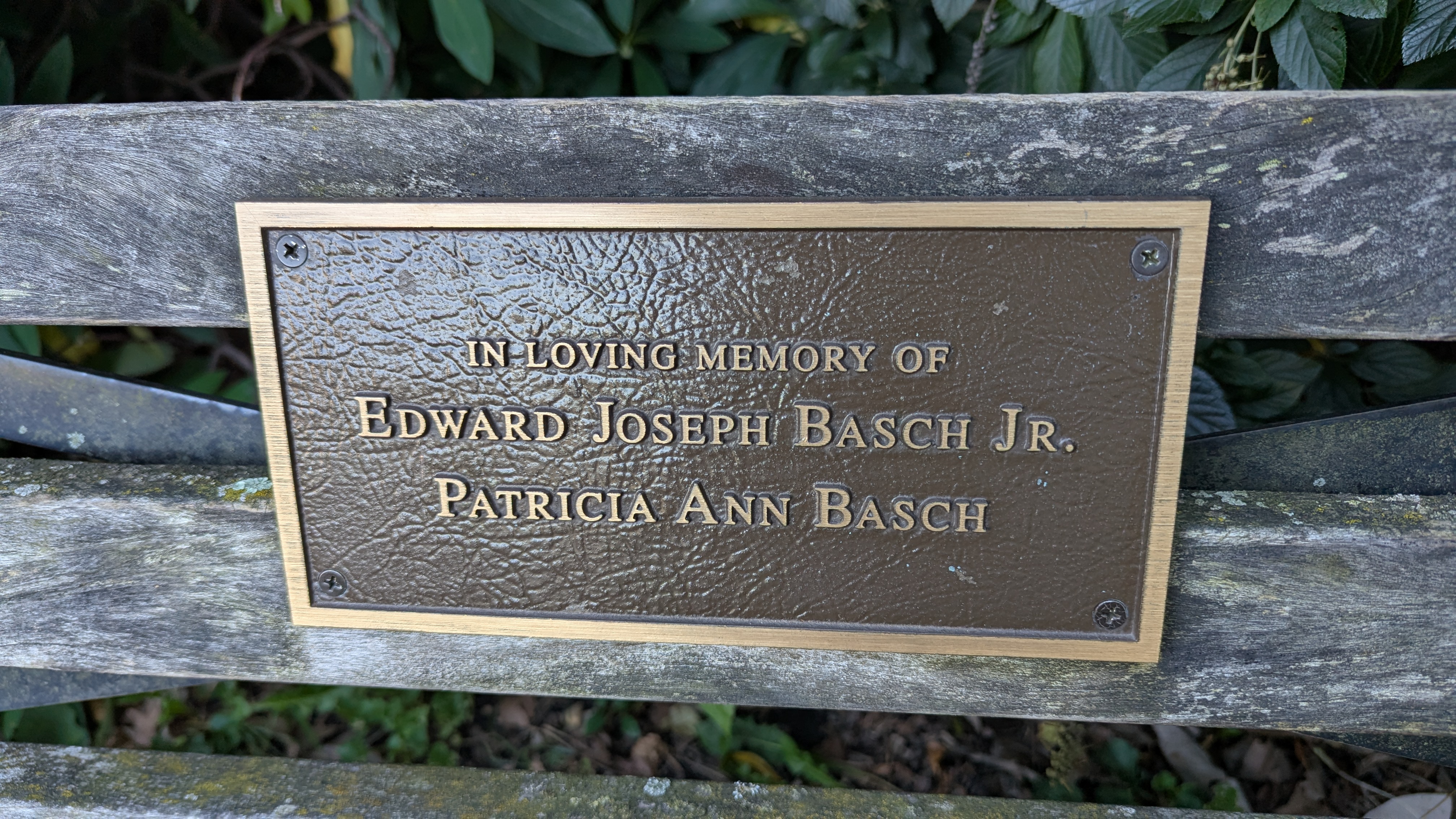 Edward Joseph Basch Jr. and Patricia Ann Basch
