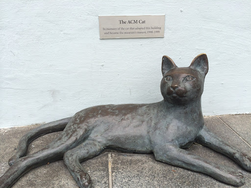 The ACM Cat