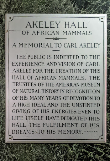 Akeley Hall of African Mammals
