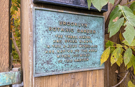 Brooklyn Botanic Garden Native Flora Garden