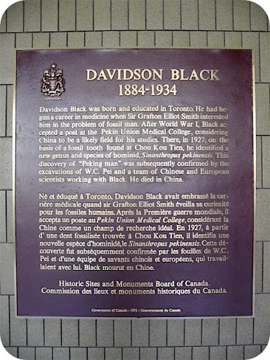 Davidson Black 1884-1934