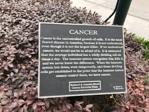 Cancer