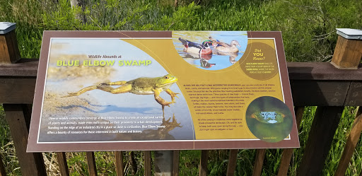 Blue Elbow Swamp