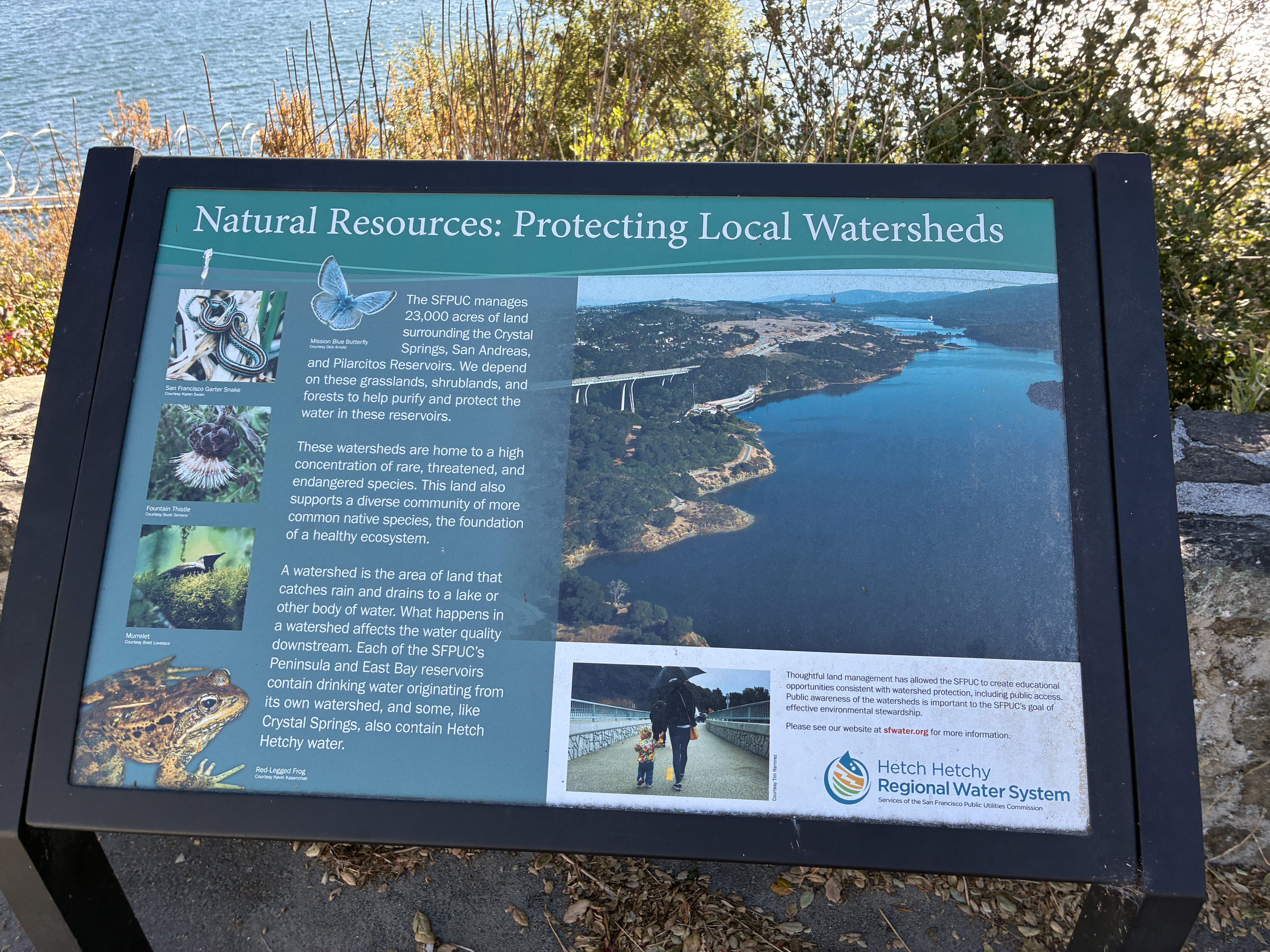 Natural Resources: Protecting Local Watersheds