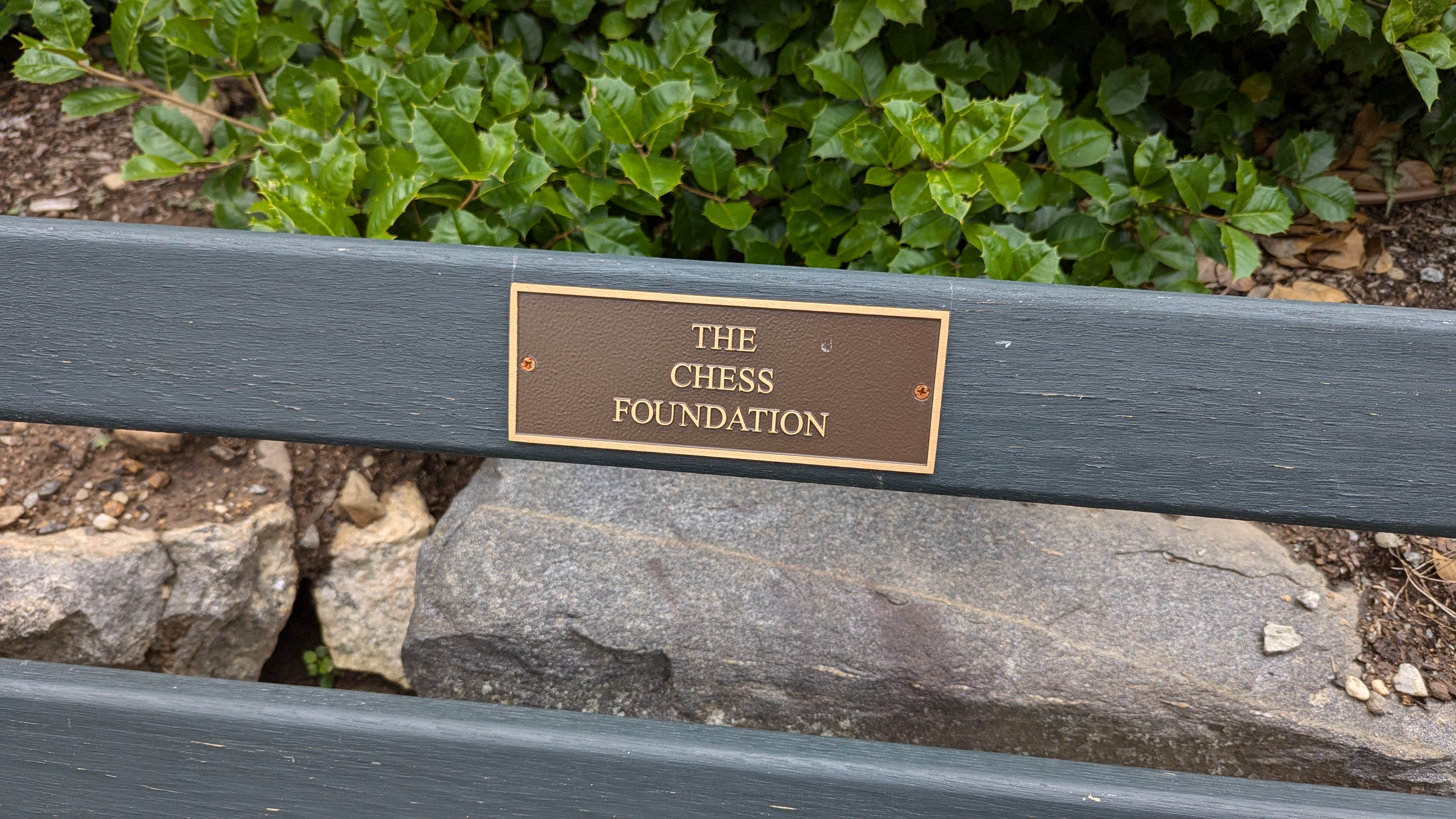 The Chess Foundation