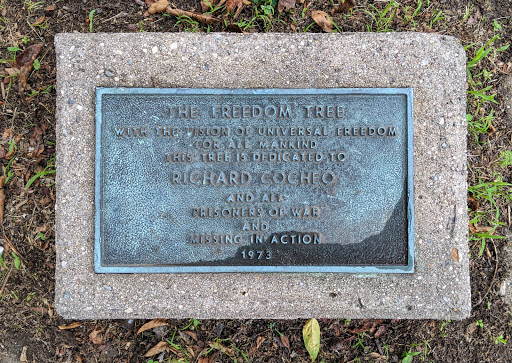 The Freedom Tree - Richard Cocheo