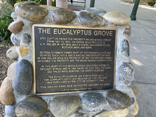 The Eucalyptus Grove