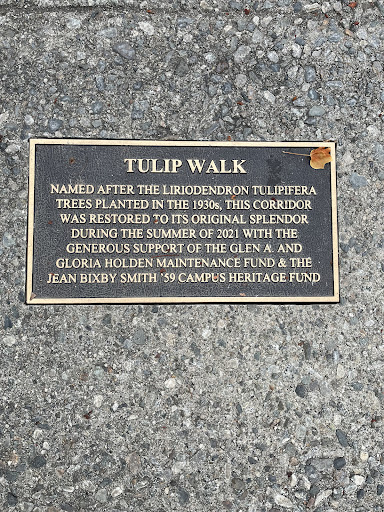 Tulip Walk