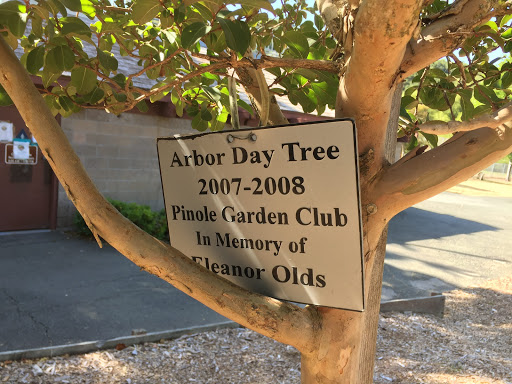 Arbor Day Tree 2007 - 2008 Eleanor Olds