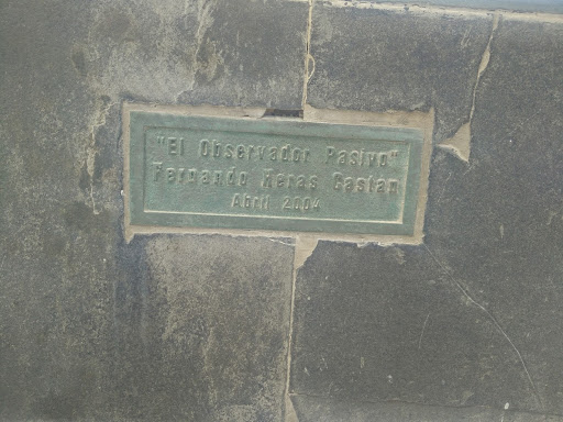El Observador Pasivo