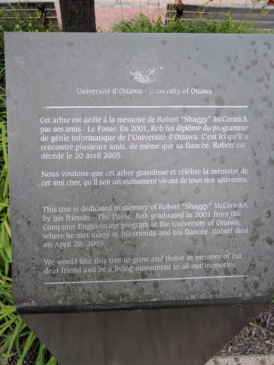This Tree is Dedicated to the Memory of Robert "Shaggy" McCormick