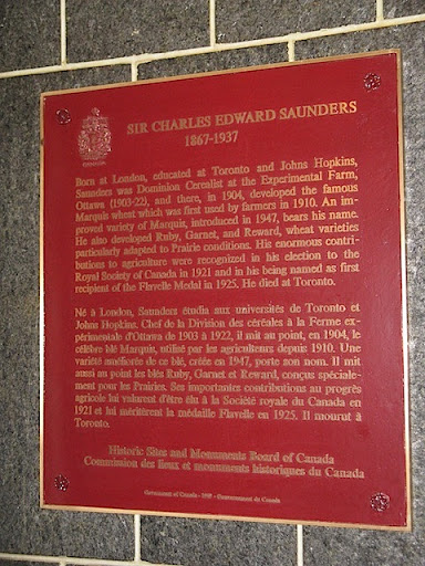 Sir Charles Edward Saunders 1867-1937