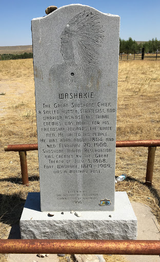 Chief Washakie
