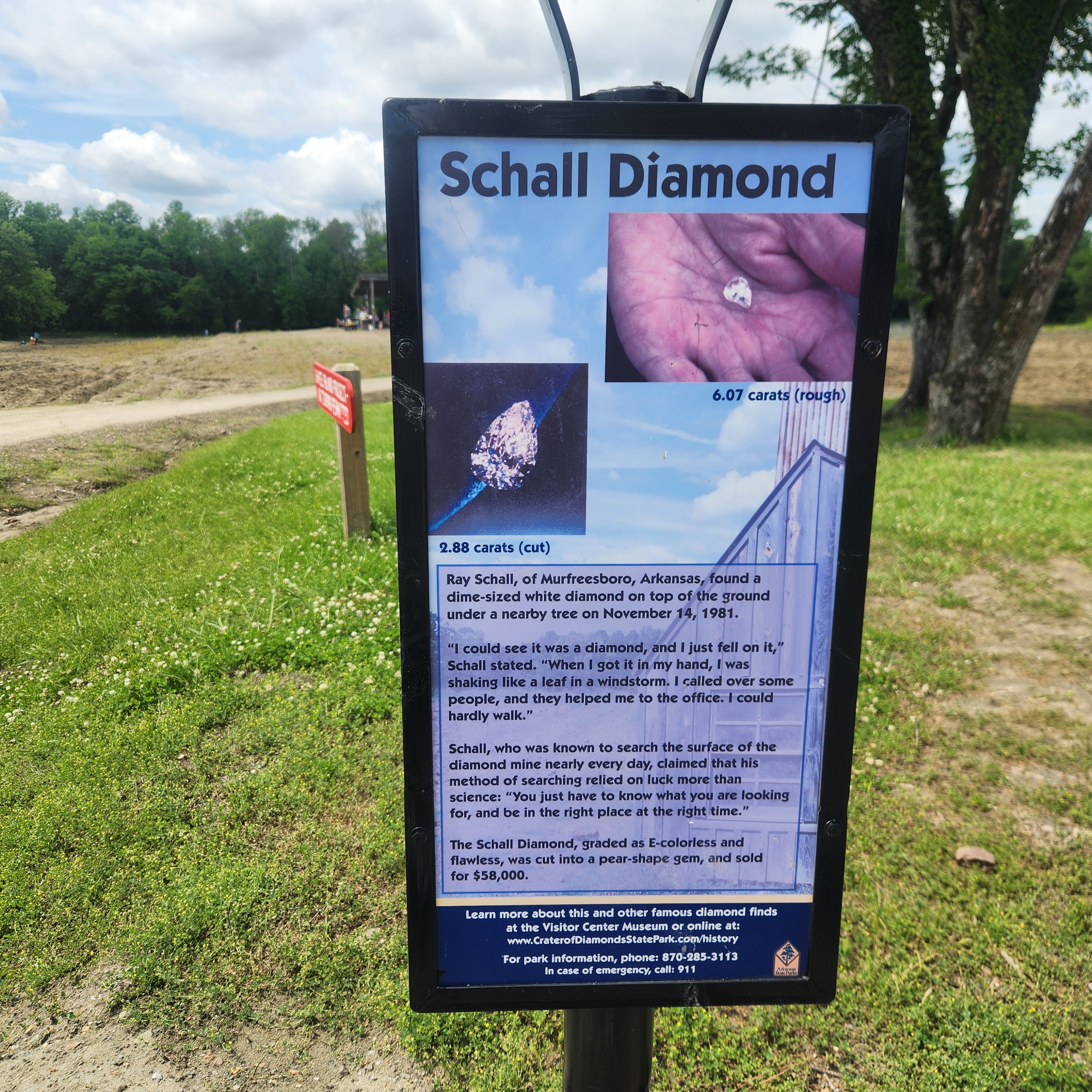 Schall Diamond