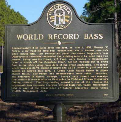 World Record Bass