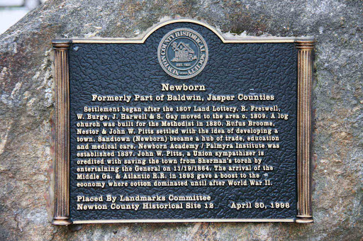 Newborn