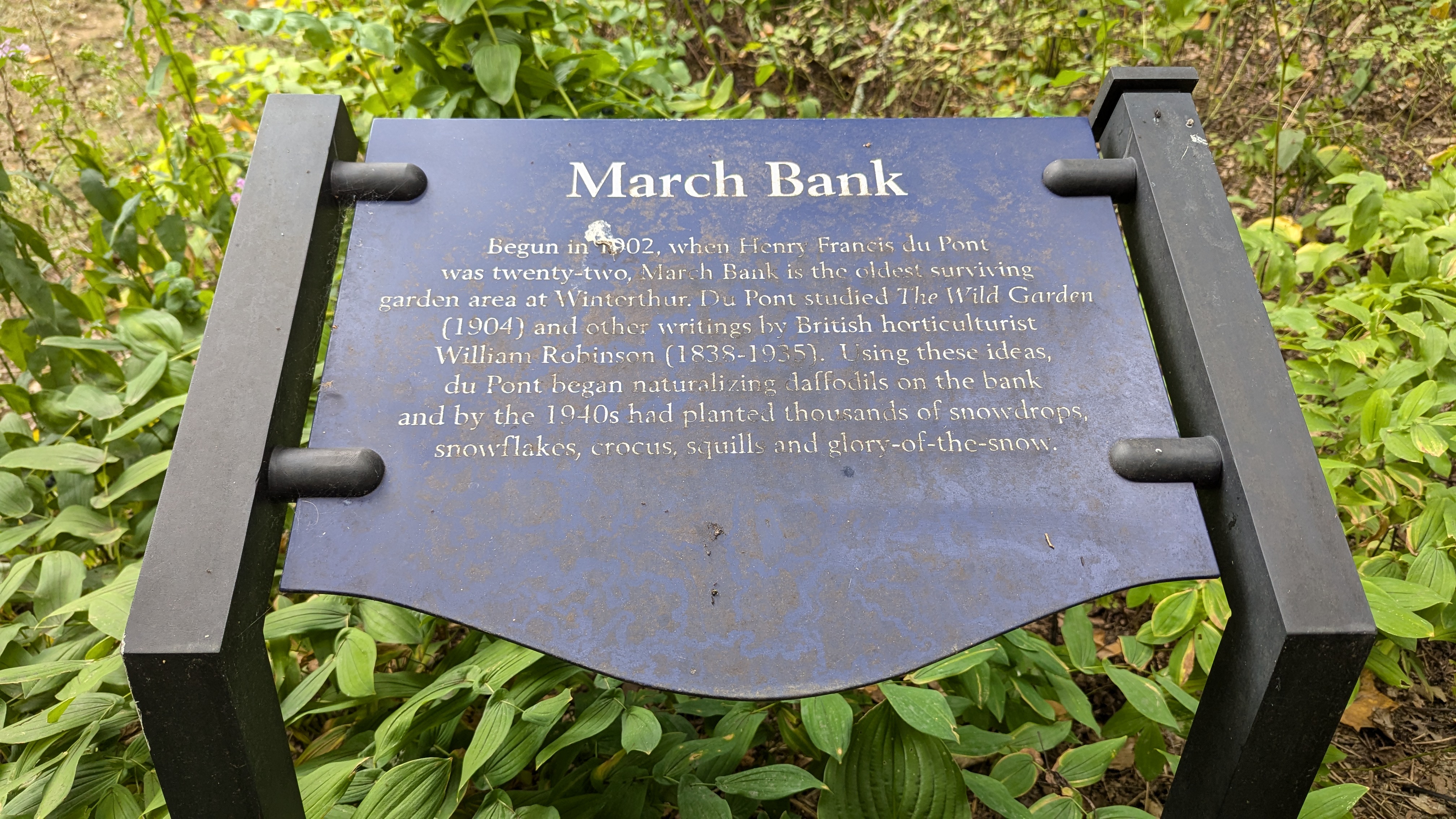 March Bank