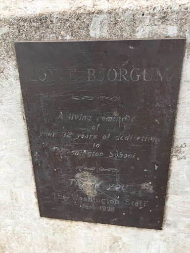 Joyce Bjorgum