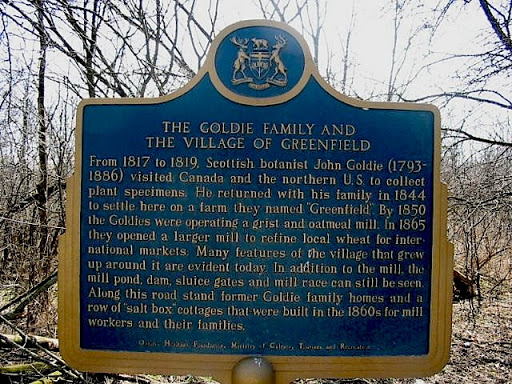 The Goldie Family and the Village of Greenfield