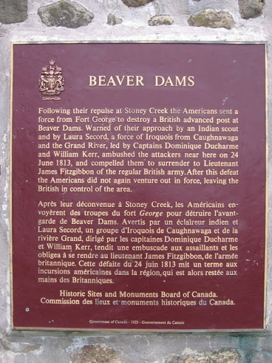 Beaver Dams