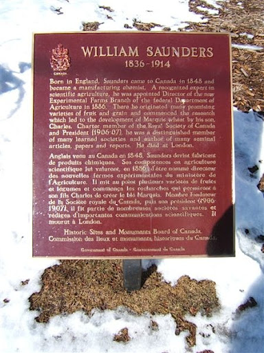William Saunders 1836-1914