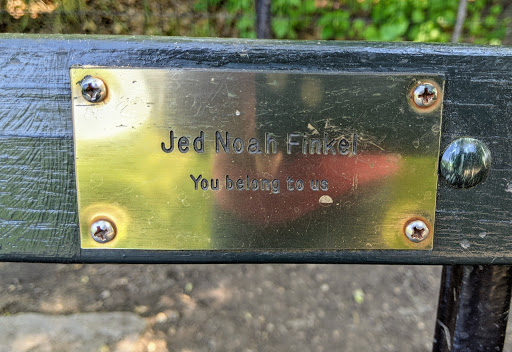 Jed Noah Finkel