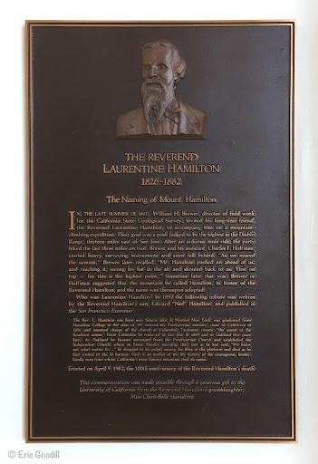 The Reverend Laurentine Hamilton