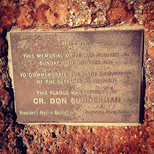 This Memorial Drive