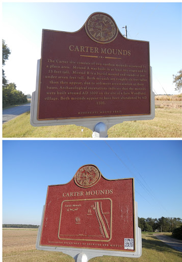Carter Mounds