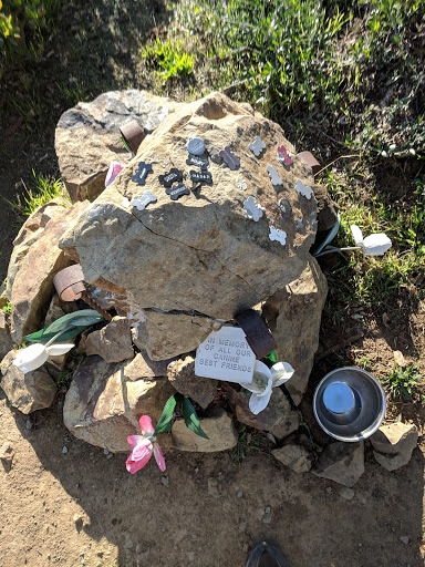 In memory of all our canine best friends