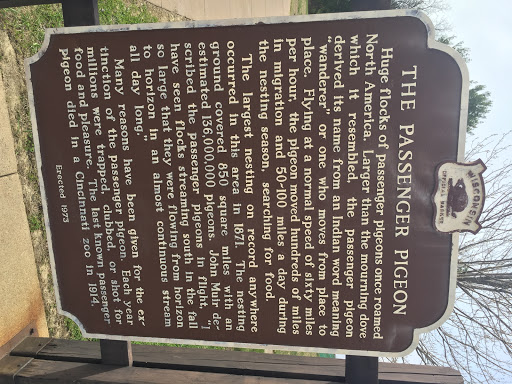 The Passenger Pigeon