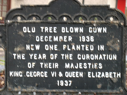 The Dunning Oak, descriptive plaque