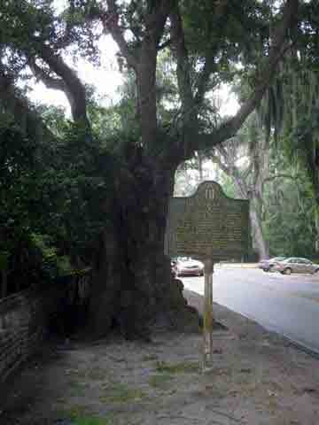The Wesley Oak