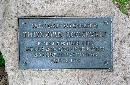 Theodore Roosevelt Trees