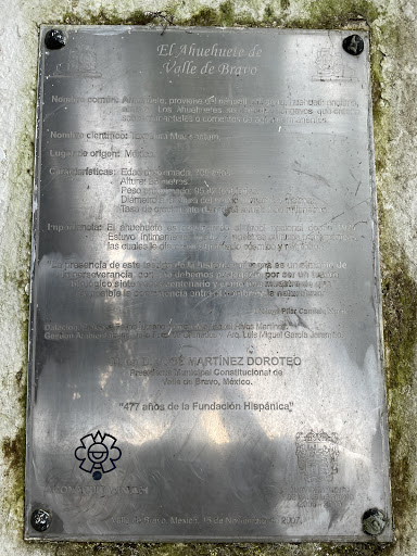 El Ahuehuele de Valle de Bravo