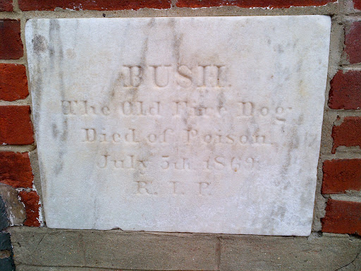 Bush the Fire Dog