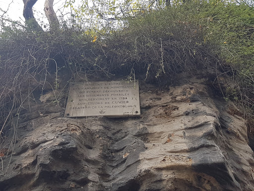 Fossils in Montmartre