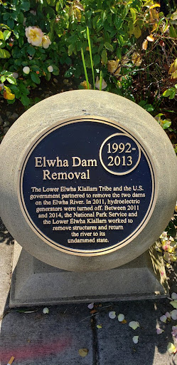 Elwha Dam Removal