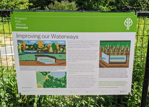 Improving our Waterways