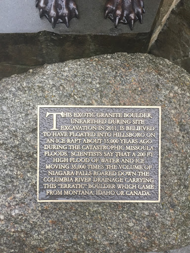 This Exotic Granite Boulder