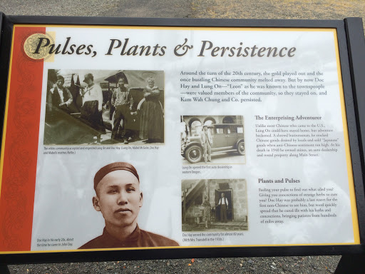 Pulses, Plants & Persistence